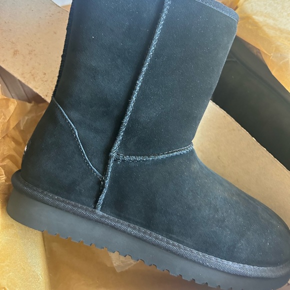 Kookaburra new in box size - Picture 5 of 16